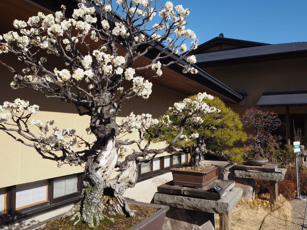 Be good, not perfect /&nbsp;完璧よりも、まともに