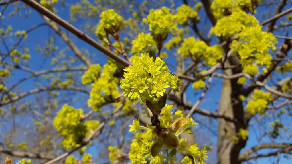 【3分ニュース英語】ヘッドラインと英単語　2018/2/26 JAPAN TIMES